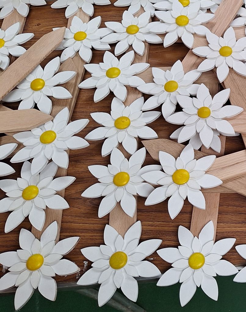 Daisies what we do